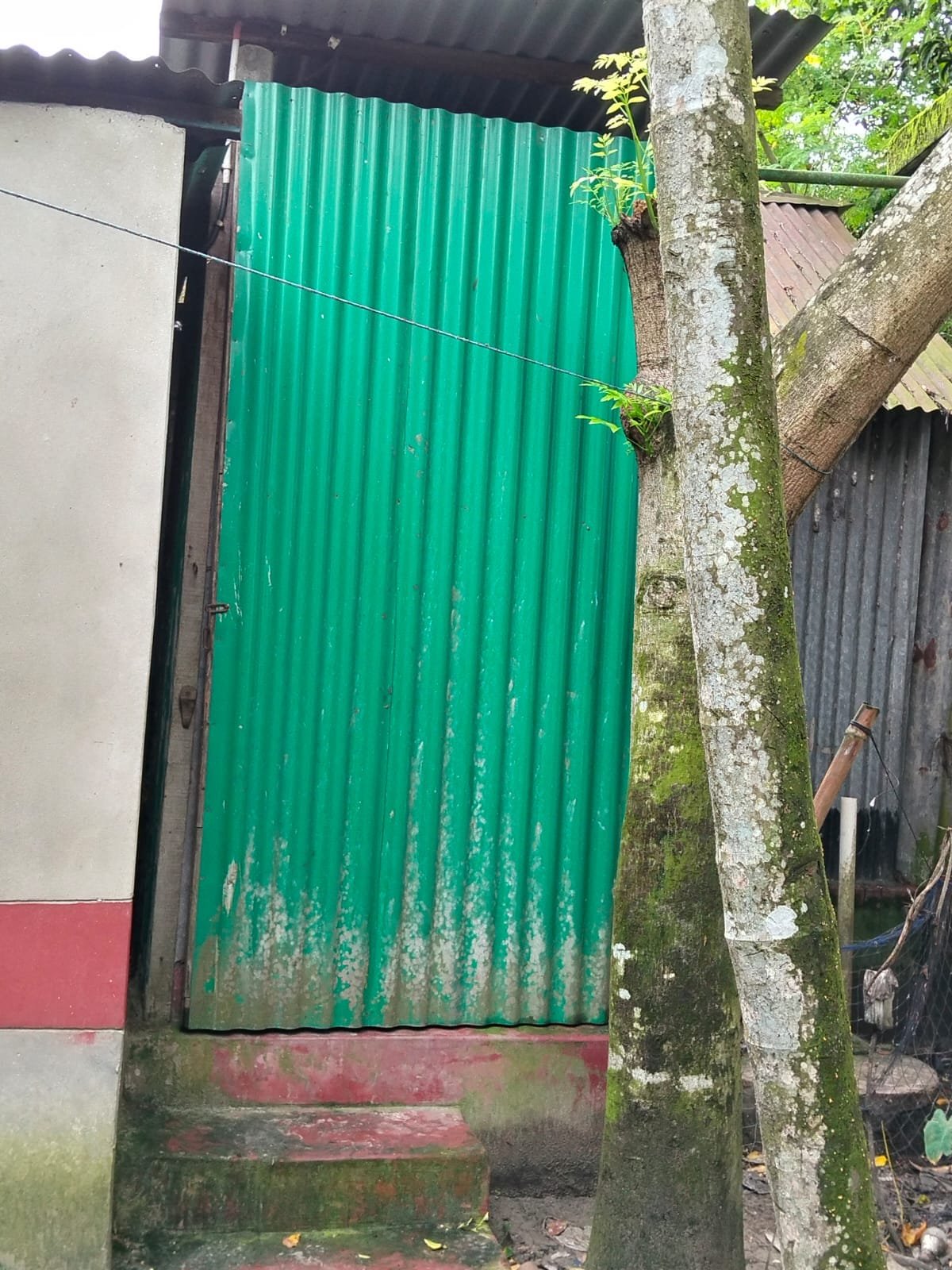 Green tin latrine built directly beside a house, a tree in the foreground.